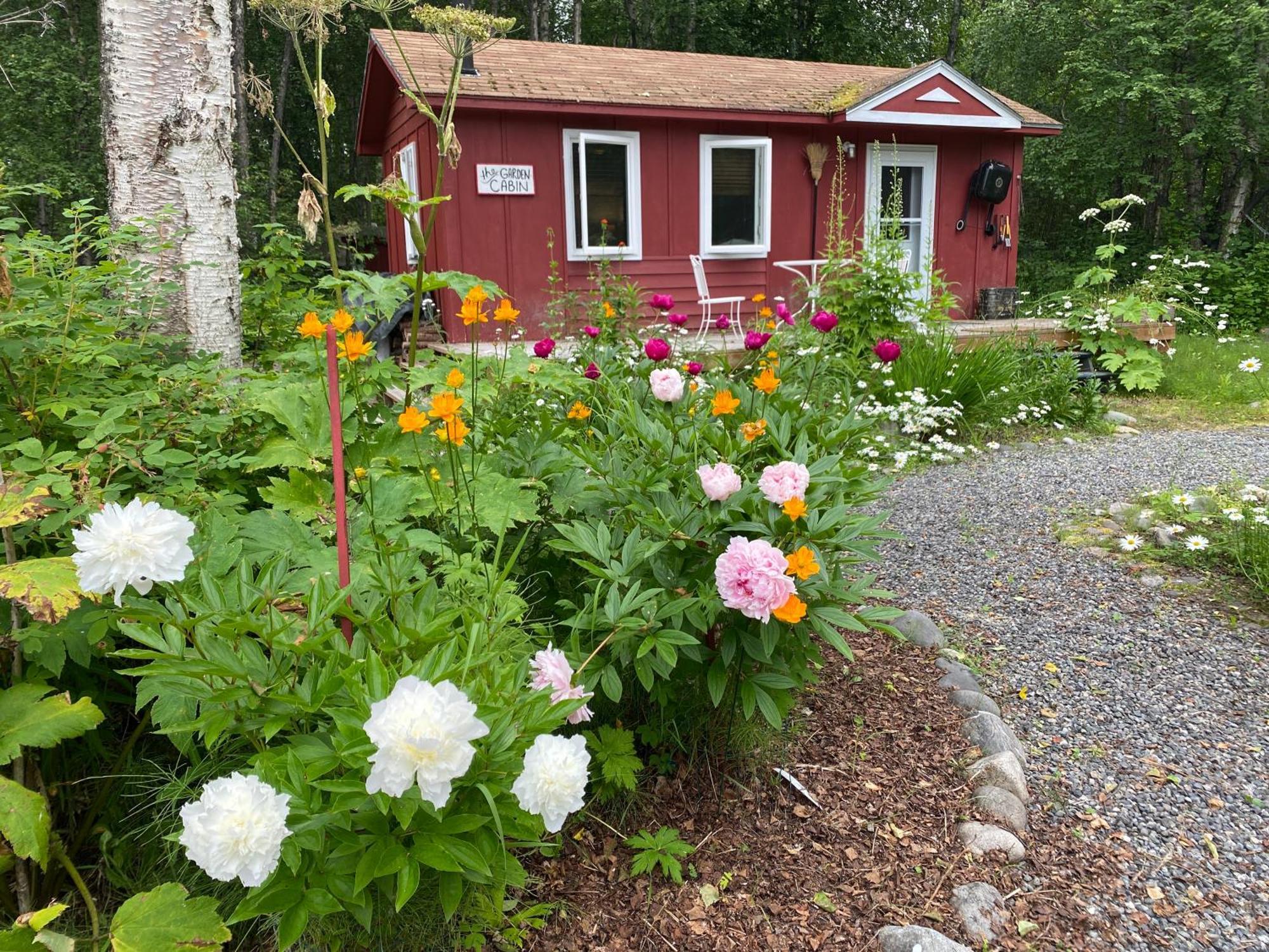 Trapper John'S Cabin & Cottages Talkeetna Eksteriør bilde