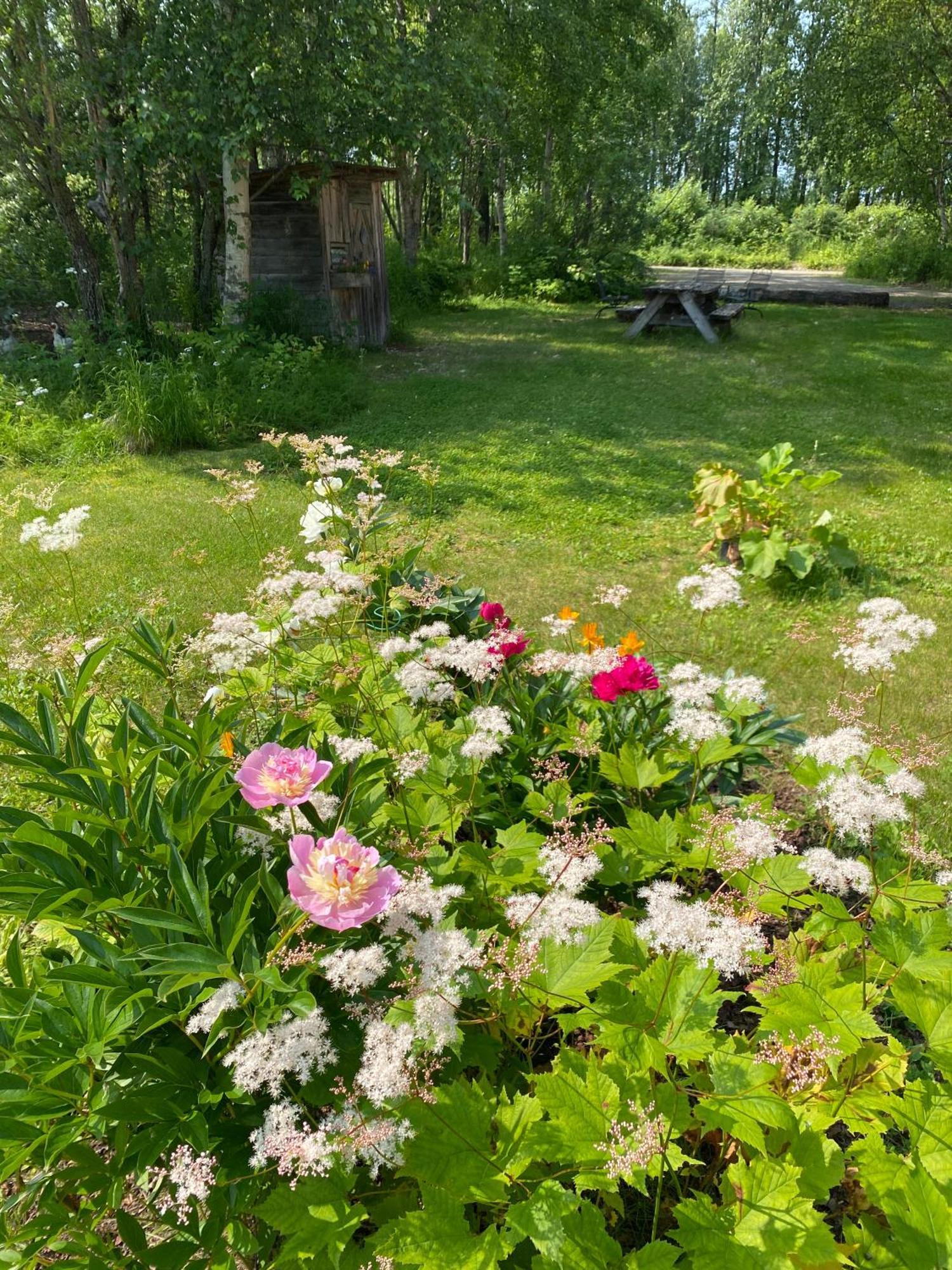 Trapper John'S Cabin & Cottages Talkeetna Eksteriør bilde