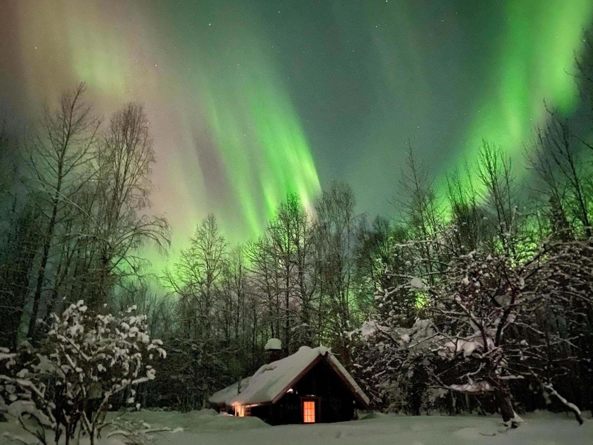 Trapper John'S Cabin & Cottages Talkeetna Eksteriør bilde