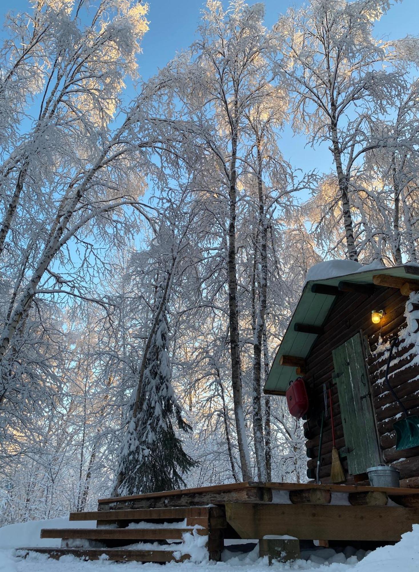Trapper John'S Cabin & Cottages Talkeetna Eksteriør bilde